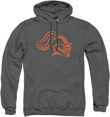 Vista 61 de Distressed College Primary Logo Adult Pullover Hoodie Collection 1 Universidad Estatal de Albany