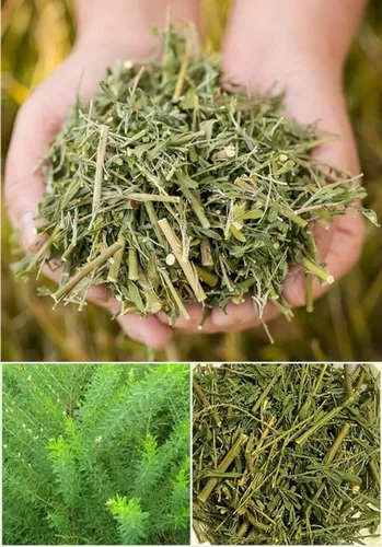 Vista 2 de Polvo de extracto de Lespedeza Cuneata puro natural orgánico -10.58 onzas (10.58 oz)