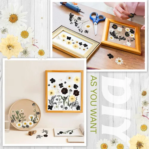 Vista 5 de Nuanchu Flores secas prensadas negras para manualidades, flores secas góticas, flores silvestres prensadas naturales a granel con pinzas para molde
