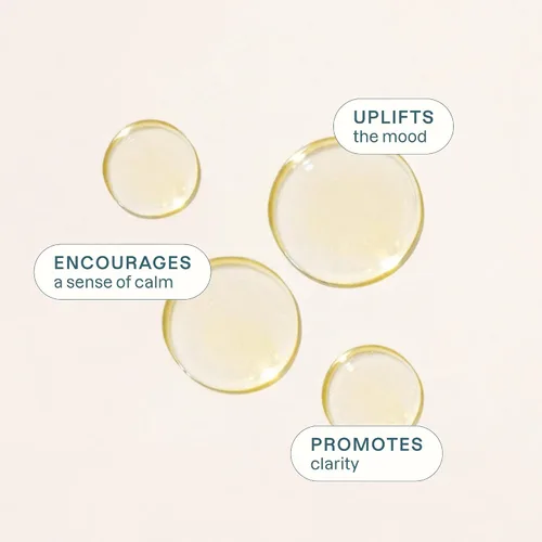 Vista 6 de Cliganic Aceite esencial de albahaca orgánica, 100% puro y natural para aromaterapia Con verificación sin OMG