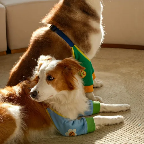 Vista 7 de Fundas protectoras de codo para perros para patas delanteras para dejar