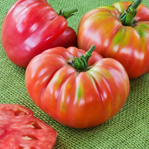 Vista 2 de Bonnie Plants Tomate Reina Alemana 19.3 oz. Paquete de 4