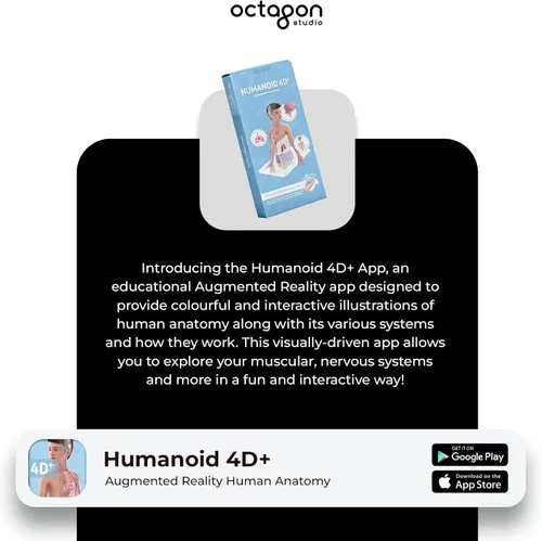 Vista 6 de Octagon Studio Tarjetas 4D humanoides para aprendizaje STEM en casa