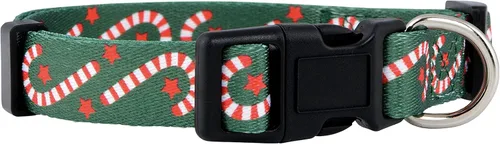Vista 19 de Native Pup Collar de Perro con Bandera Americana - Rojo, Blanco y Azul - Collares Patrióticos para el 4 de Julio, EE.UU. - Ajustable para Perros