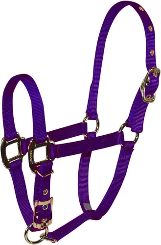 Vista 11 de Hamilton Deluxe - Caballo ajustable, 100-200 libras, color negro Premium Quality 3/4" Triple Ply Nylon, Foal/Mini Horse, Adjustable Chin Strap