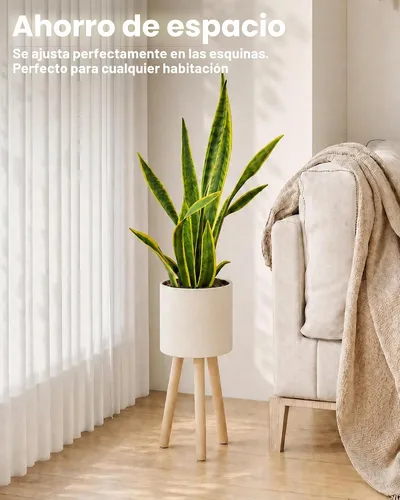 Vista 5 de Bamworld - Soporte para plantas de interior para plantas