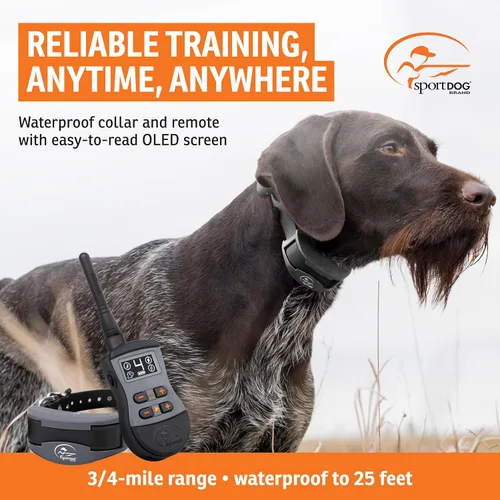 Vista 2 de SportDOG Brand SportTrainer 1275 - Entrenador remoto - Pantalla OLED brillante y fácil de leer - Rango de 3/4 millas - Collar de entrenamiento