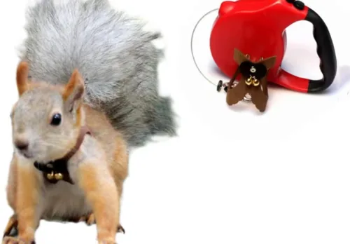 Vista 13 de Correa de cuerda de tracción de ardilla, cuerda de cadena antimordeduras, arnés para caminar pequeños animales con correa extensible para hámster