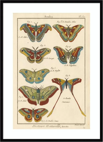 Vista 11 de Amanti Art Lienzo decorativo para pared enmarcado de 24 x 18 pulgadas, diseño de mariposas de naturaleza III de historia, arte de pared de animales