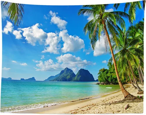Vista 2 de Loccor Tapiz de playa tropical, isla costera, palmeras, olas, tapiz de pared de verano, paraíso hawaiano, paisaje para colgar en la pared, hippie