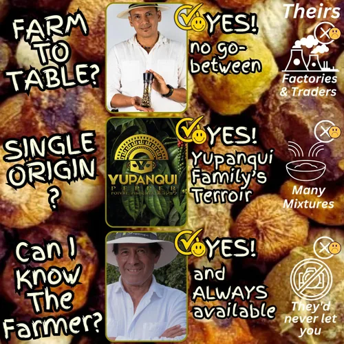 Vista 7 de YUPANQUI Molinillo de pimienta arcoíris de 3.5 onzas, recargable con granos de pimienta arcoíris gourmet RAIMY Artisanal de 7