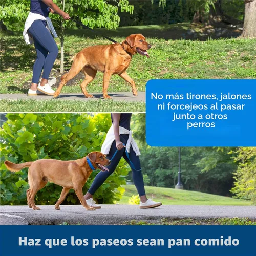 Vista 5 de PetSafe Soft Point - Collar de entrenamiento para perros sin tirones, negro