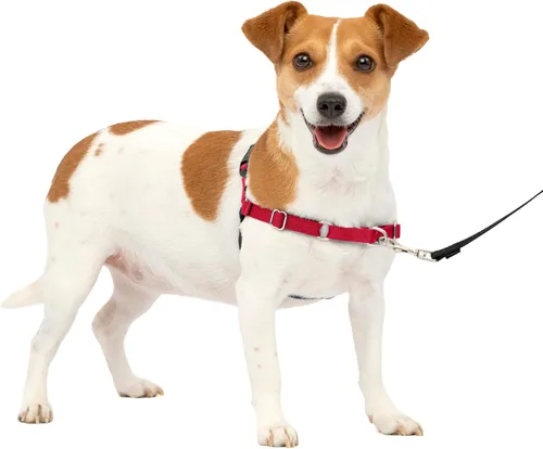 Vista 45 de PetSafe Easy Walk - Arnés para perro, sin tirones, gris carbón Carbón/Negro