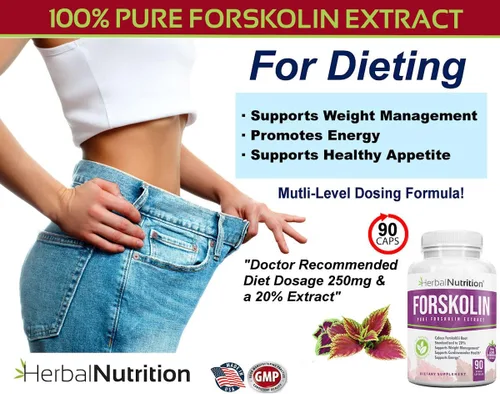 Vista 2 de Herbal Nutrition Forskolina para bajar de peso, 250 mg-500 mg de fuerza máxima forskolina paquete de dos botellas de 90 unidades, extracto del 20%