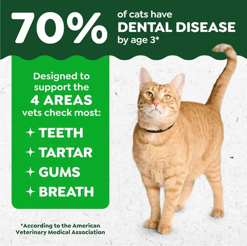 Vista 3 de Greenies Golosinas para gatos, golosinas dentales naturales para gatos adultos recomendadas por veterinarios felinos, sabroso sabor a salmón, bolsa