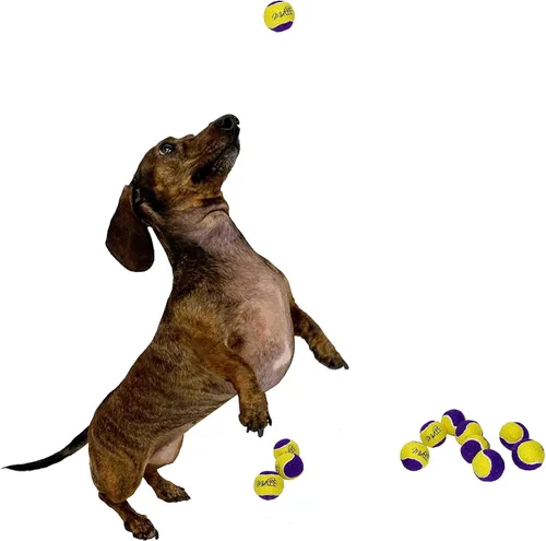 Vista 2 de Midlee Squeaky Mini pelota de tenis para perros de 1.5 pulgadas, paquete de 12 (amarillo/morado) Small Little Puppy Sized Tennis Balls