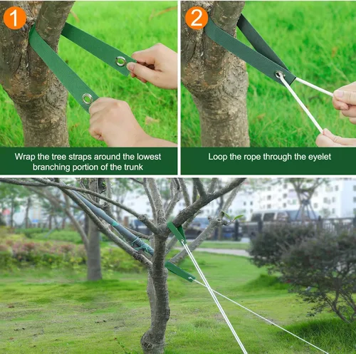 Vista 5 de Jevrench 12 PCS Correas para Árboles para Estacado, Correas de Soporte para Árboles para Atirantar Plantones Recién Plantados y Mantenerlos Rectos