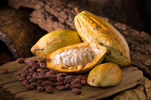 Vista 7 de Food to Live Granos de cacao orgánicos, 1 libra, sin OMG, keto, vegano, seco, a granel, rico en fibra dietética, cobre, manganeso, magnesio, zinc