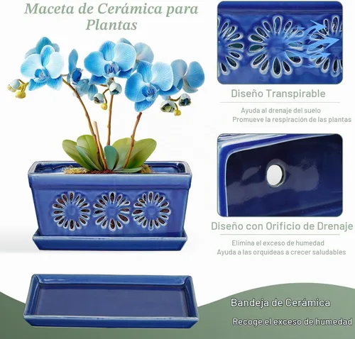 Vista 4 de EFISPSS Maceta de orquídea de 10 pulgadas, macetas de cerámica para orquídeas con agujeros, macetas de interior con drenaje y platillo, macetas