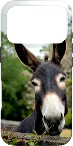 Vista 30 de Funda Donkey para iPhone 17