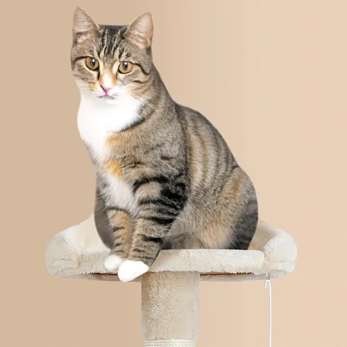 Vista 8 de Yaheetech - Árbol para gatos grandes de 64.5 pulgadas con 2 condominios, 2 perchas