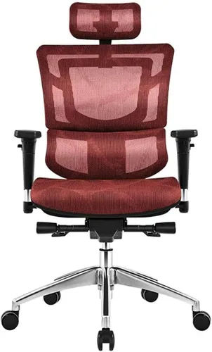 Vista 4 de Commercial Ergonomic High Back Executive Mesh Chair, with Adjustable Lumbar Support, Headrest and 3D Armrests Configure Chassis Functions(A)