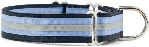 Vista 18 de If It Barks Collar Martingala de 1 pulgada con hebilla de liberación rápida, ajustable, fabricado en Estados Unidos, pequeño, arándano