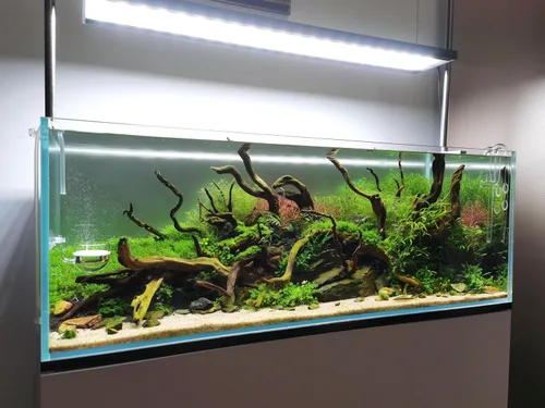 Vista 4 de Difusor de CO2 de vidrio musical para plantas de acuario (2 pulgadas para tanque más allá de 75 galones)
