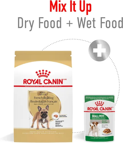 Vista 6 de Alimento seco Royal Canin Breed Health Nutrition para perros French Bulldog adultos, bolsa de 6 lb