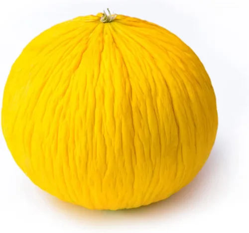 Vista 7 de Semillas de melón para plantar (10 semillas) - Cultiva tu propio alimento (Melón amargo negro)