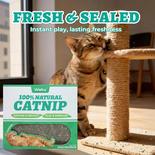 Vista 2 de Wellix Hierba gatera fresca para gatos, hojas secas naturales, flores y tallos, aroma fresco, utilizado como golosinas o juguetes recargables