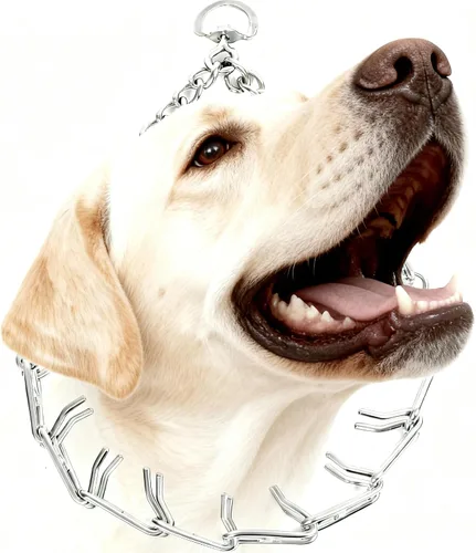 Vista 10 de Collar de entrenamiento para perros con puntas curvadas con anillo giratorio ajustable