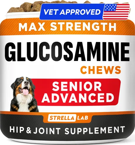 Vista 9 de STRELLALAB Suplemento avanzado de glucosamina para cadera y articulaciones para perros y caballos mayores, mejillón y colágeno de labios verdes