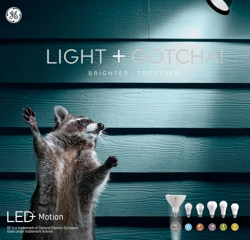 Vista 13 de GE Lighting LED+ - Bombilla de seguridad para exteriores con sensor de movimiento, blanco cálido, ajuste del atardecer al amanecer, base media