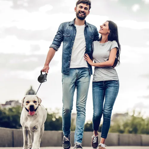 Vista 5 de Correa retráctil para perro con linterna, correa de paseo para perros de hasta 77 libras, correa de nailon sin enredos de 360°, mango Gris