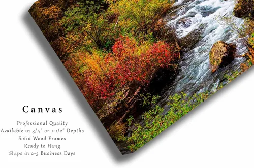 Vista 2 de Black Hills Canvas Wall Art (Ready to Hang) Gallery Wrap of Fall Foliage Surrounding Creek on Autumn Day in Spearfish Canyon South Dakota Western
