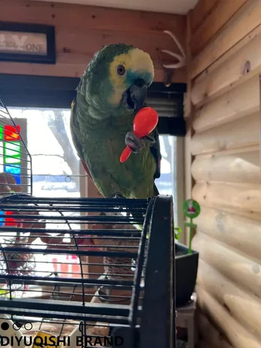 Vista 3 de Paquete de 10 juguetes para pájaros para loros, ratán natural y bolas