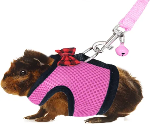 Vista 8 de Rypet Arnés y correa para conejillo de indias, 2 piezas, arnés de malla suave para mascotas pequeñas con campana segura, chaleco acolchado cómodo 2