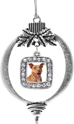 Vista 69 de Inspired Silver - Bon Voyage Cruise Ship Charm Ornamento – Adornos navideños cuadrados de plata con joyas de circonita cúbica