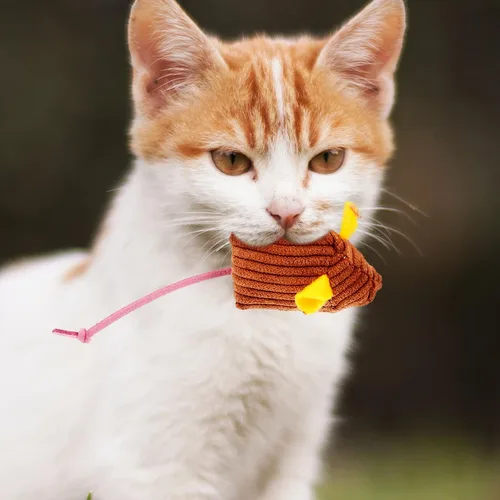 Vista 4 de 6pcs Plush Striped Cat Mouse with Catnip Soft Lightweight Interactive Chew for Indoor Cats and Kittens Wear-Resistant Material for Active Play and