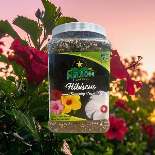 Vista 2 de Nelson Plant Food - Fertilizante NutriStar Hibiscus - Alimento para plantas de interior y exterior - Fertilizante de hibisco tropical para todas
