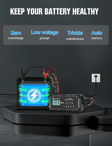 Vista 4 de ECO-WORTHY Cargador de batería LiFePO4 10A de 12 V, cargador y mantenedor de batería de litio inteligente, cargador de goteo y desulfatador
