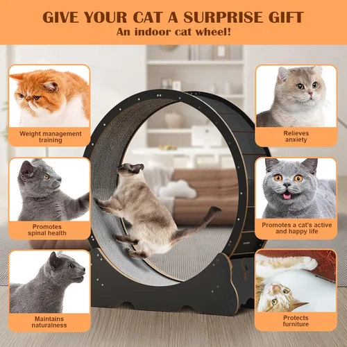 Vista 2 de Rueda de ejercicios para gatos, de 48 pulgadas XL para gatos grandes, rueda de gato para gatos