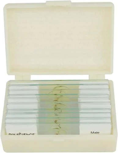 Vista 7 de Juego de diapositivas de microscopio de insectos enteros preparados, 10 piezas para niños, estudiantes, clase de biología, regalo educativo