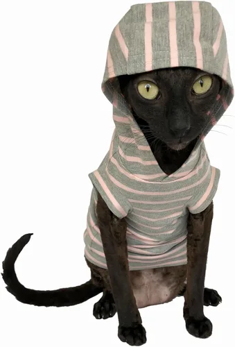Vista 13 de Sudadera con capucha de gato calaveras en negro 100% algodón para Sphynx y gatos desnudos (grande)
