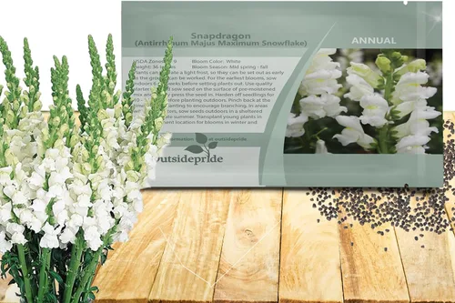 Vista 8 de Outsidepride 5000 semillas anuales de flores de dragón naranja para plantar
