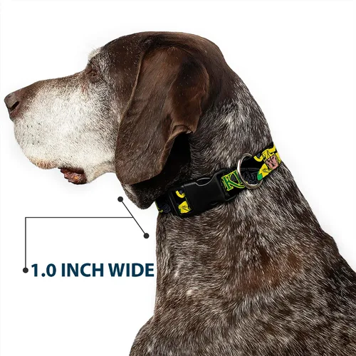 Vista 6 de Collar de perro Clip de plástico Loki en acción Negro Gris Amarillo Verde 9 a 15 pulgadas 1.0 pulgadas de ancho
