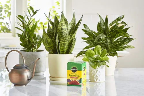 Vista 4 de Miracle-Gro Alimento soluble en agua para plantas multiusos - Fertilizante para todas las plantas de interior o exterior, incluyendo rosas, flores