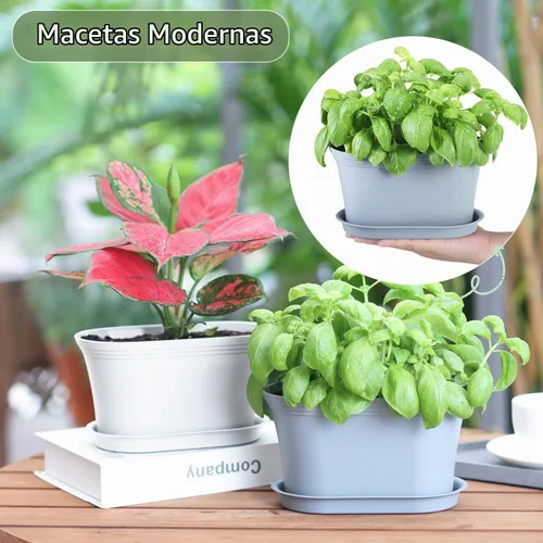 Vista 3 de Oliz 6pk Windowsill Planters, Grey Plastic w/Drain Tray - Indoor/Outdoor Gris