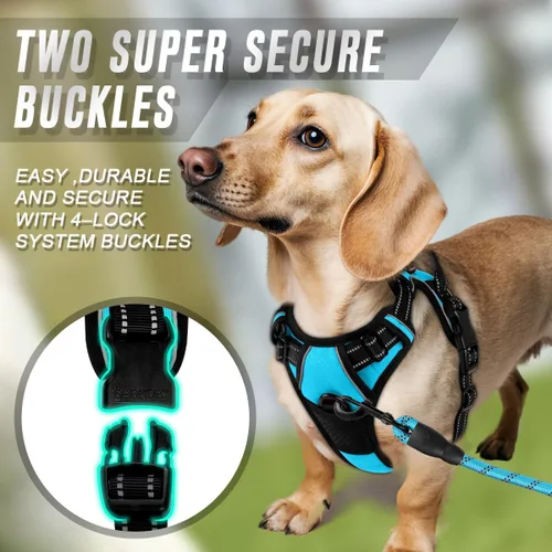 Vista 249 de BARKBAY - Arnés para perro sin tirones con clip frontal, material resistente y reflectante, asa de fácil control para pasear perros grandes